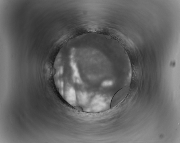 X0000103470043200810031530