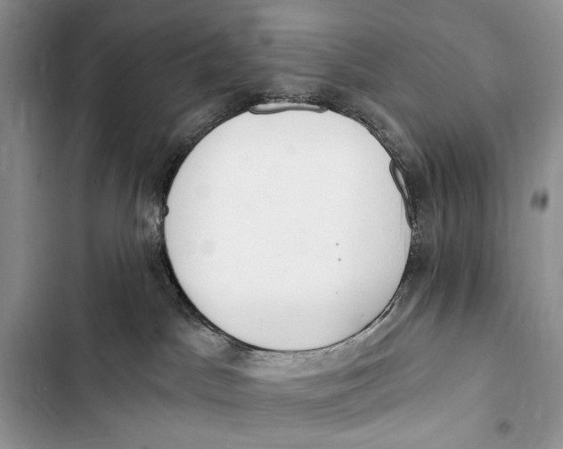 X0000103470045200810031530