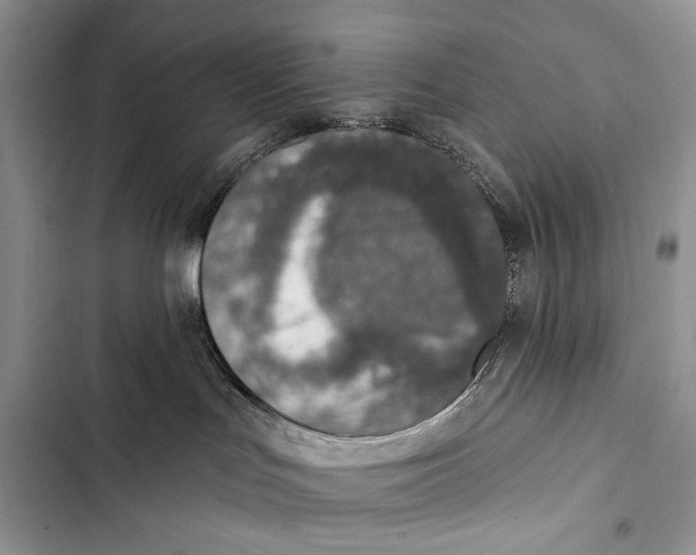 X0000103470047200810031530