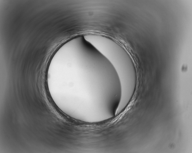 X0000103470049200810031529