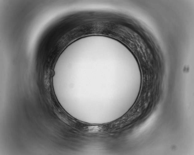 X0000103470050200810031529
