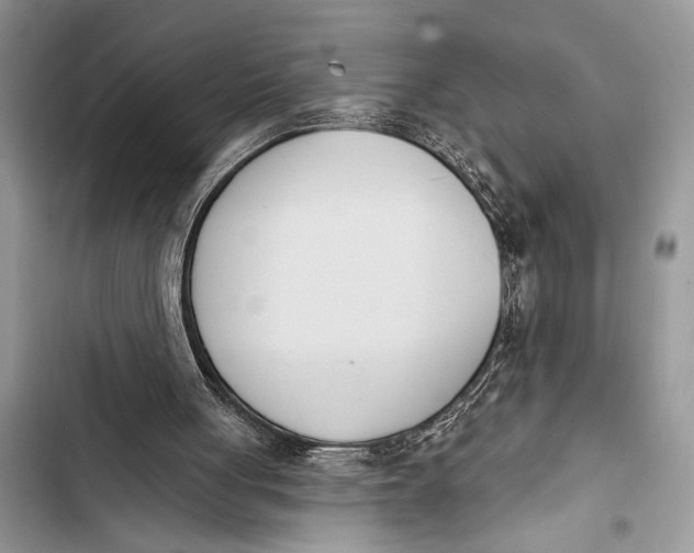 X0000103470051200810031529