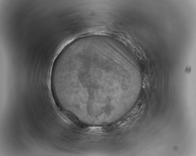 X0000103470052200810031529