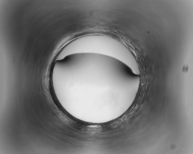 X0000103470053200810031529