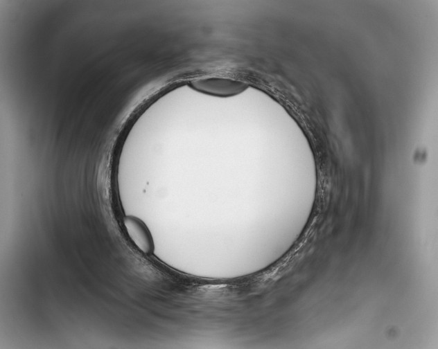 X0000103470054200810031529