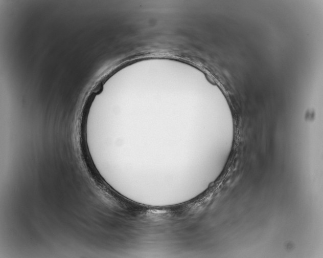 X0000103470055200810031529