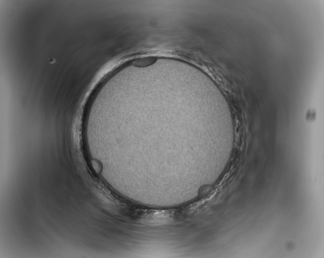 X0000103470056200810031529