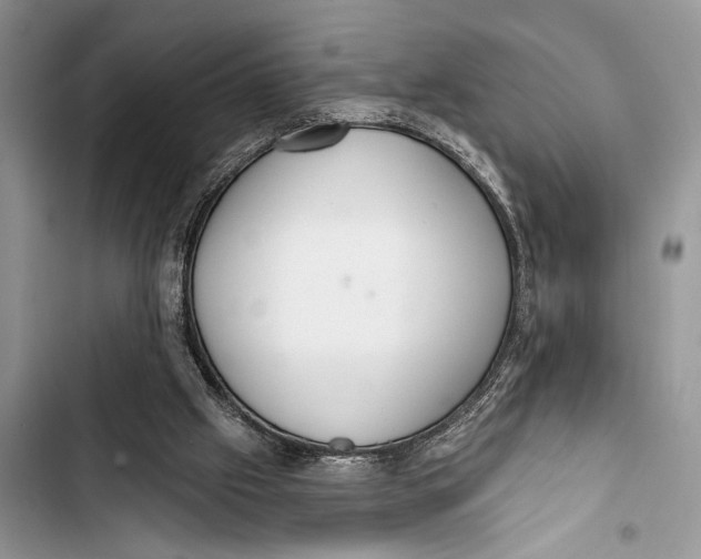 X0000103470057200810031529