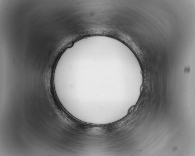 X0000103470058200810031529