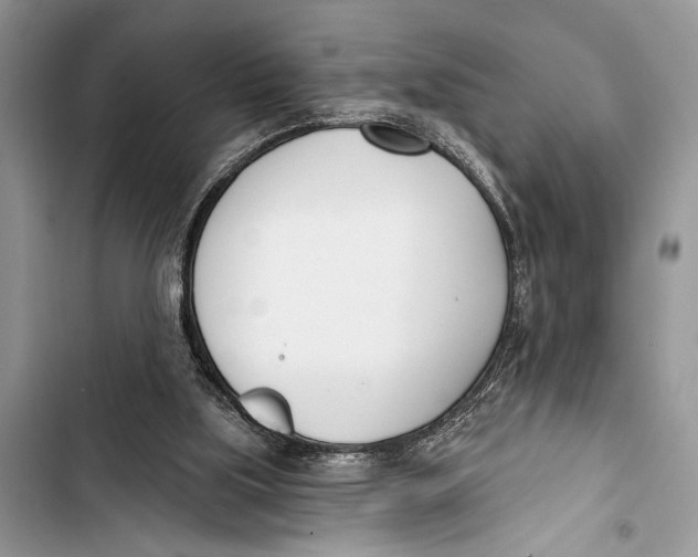 X0000103470059200810031529