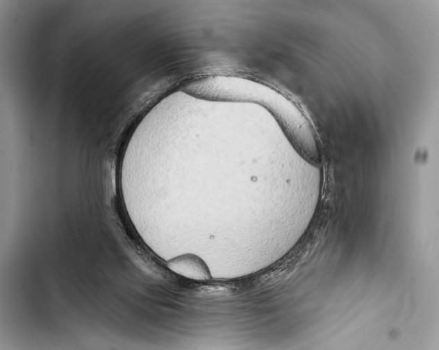 X0000103470061200810031529