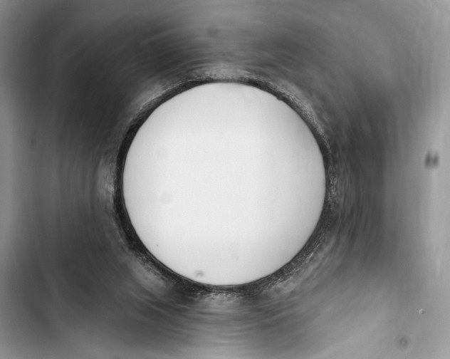 X0000103470063200810031529