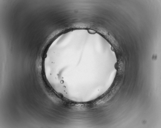 X0000103470064200810031529