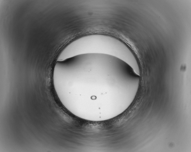 X0000103470065200810031529