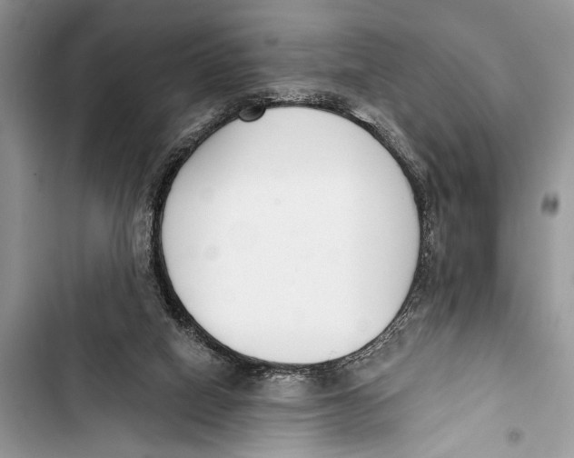 X0000103470066200810031529