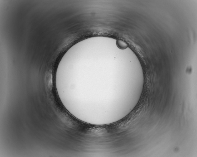 X0000103470067200810031529