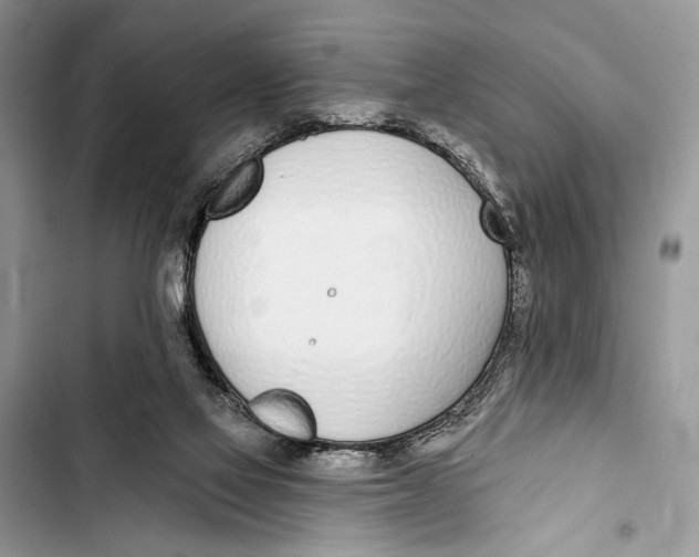 X0000103470069200810031529