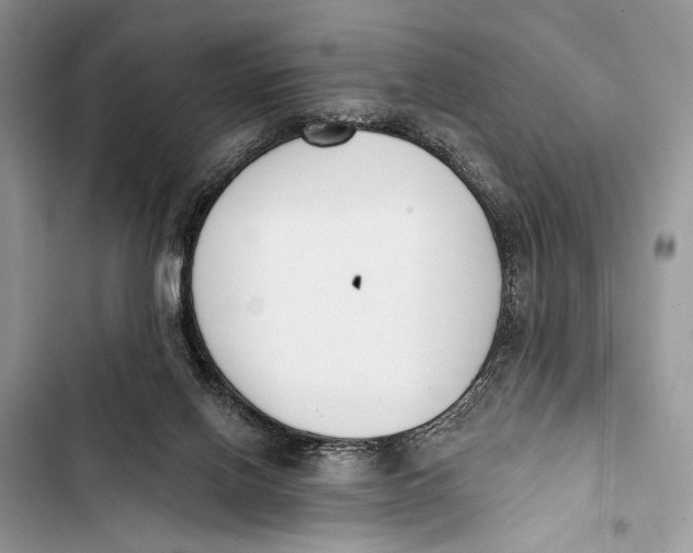 X0000103470070200810031529
