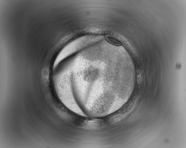 X0000103470072200810031529