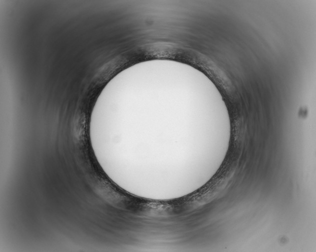 X0000103470073200810031529