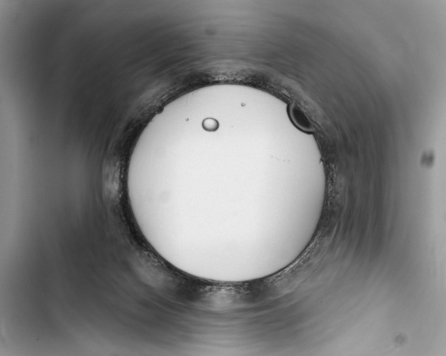 X0000103470074200810031529