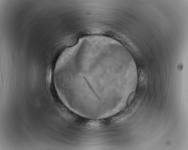 X0000103470076200810031529