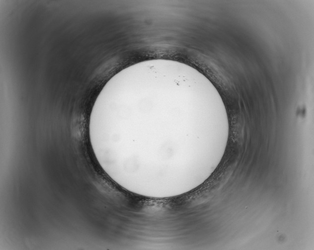 X0000103470077200810031529