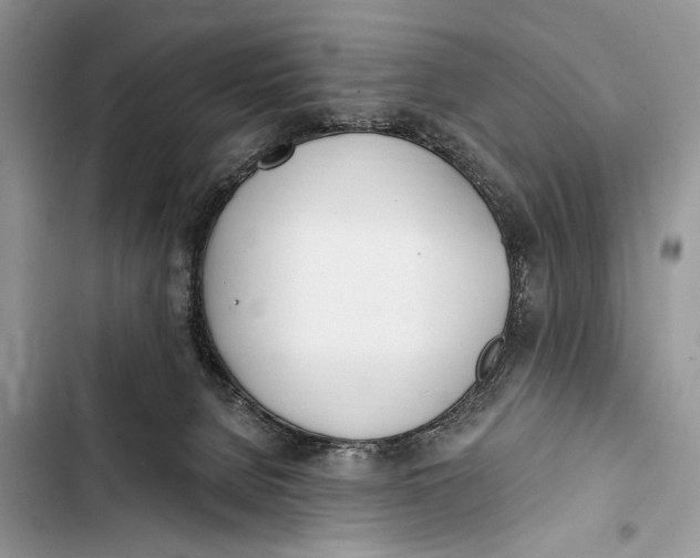 X0000103470080200810031529