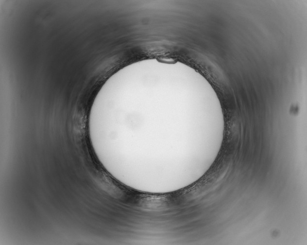 X0000103470081200810031529