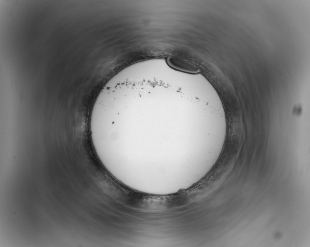 X0000103470084200810031529