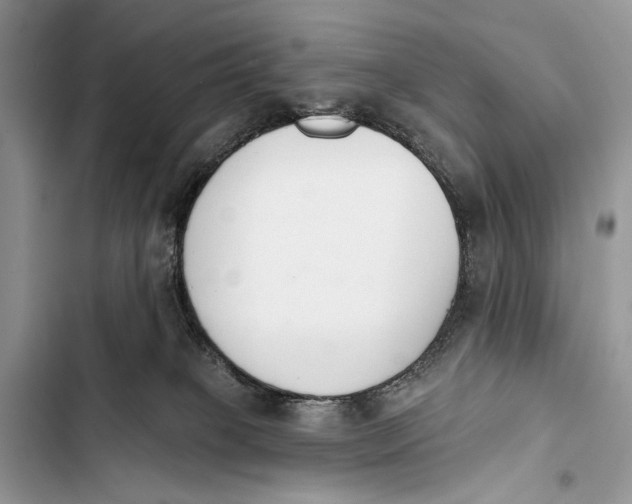 X0000103470085200810031529