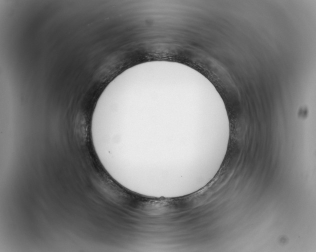 X0000103470086200810031530