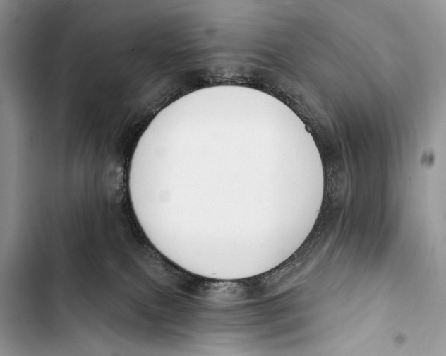 X0000103470087200810031530