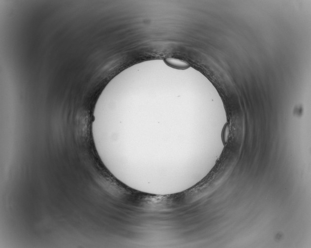 X0000103470092200810031530