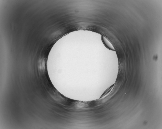 X0000103470094200810031530