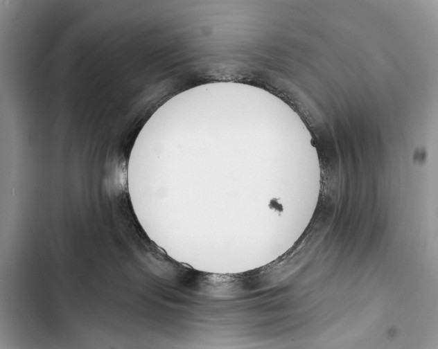 X0000103470095200810031530