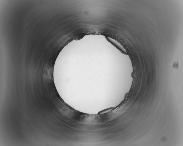 X0000103470096200810031530