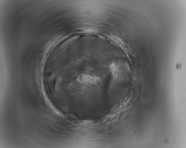 X0000103470097200810031529