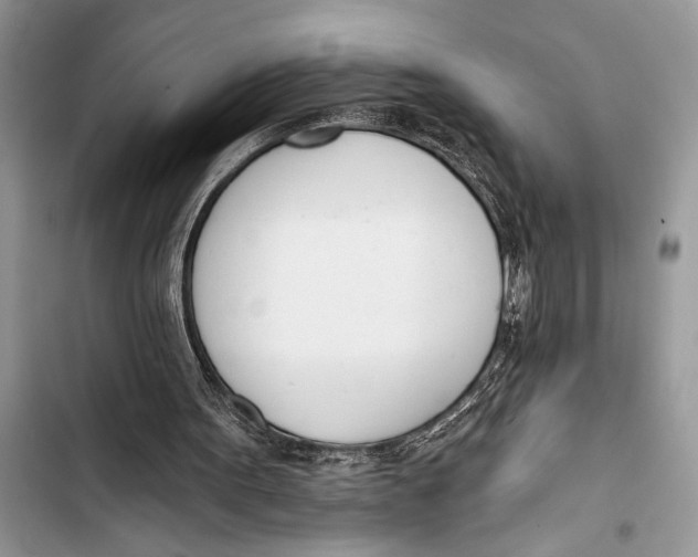 X0000103470099200810031529