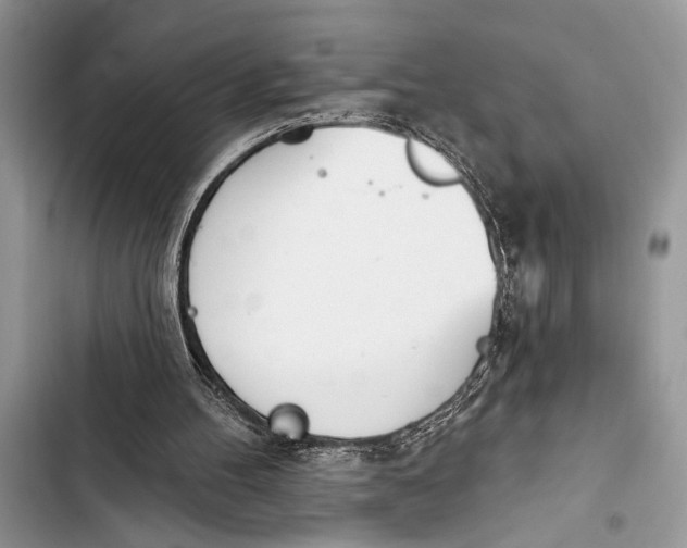 X0000103470100200810031529