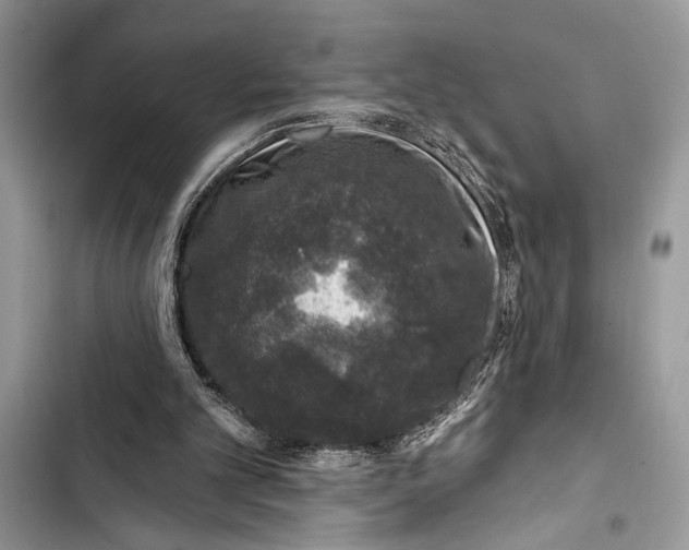X0000103470101200810031529