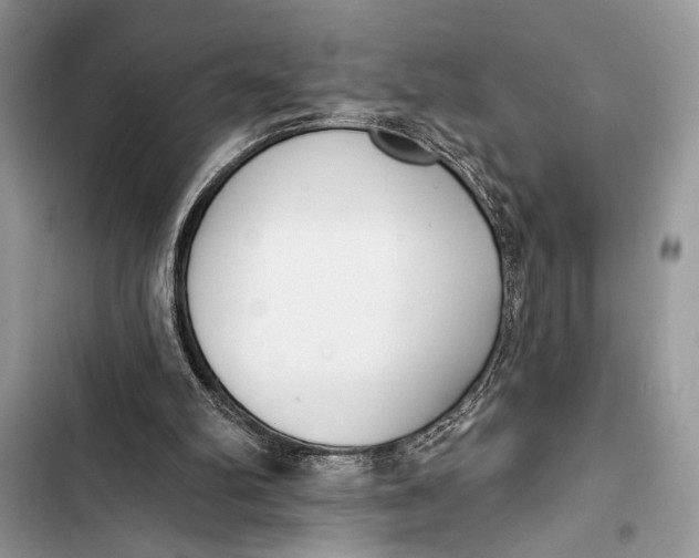 X0000103470102200810031529