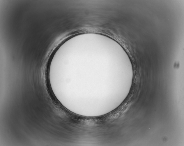 X0000103470103200810031529