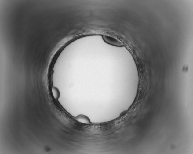 X0000103470104200810031529