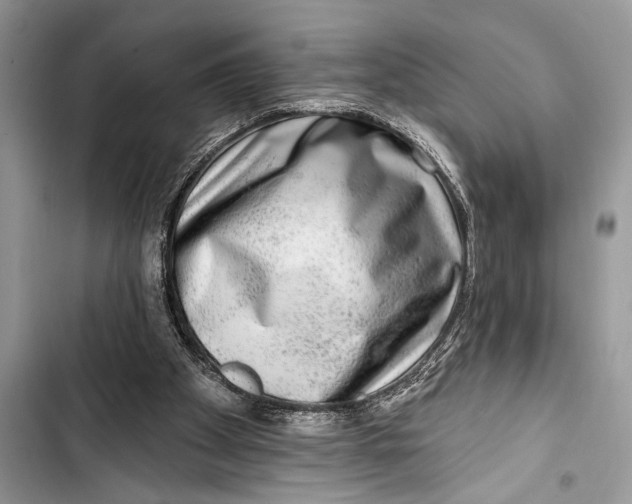 X0000103470105200810031529
