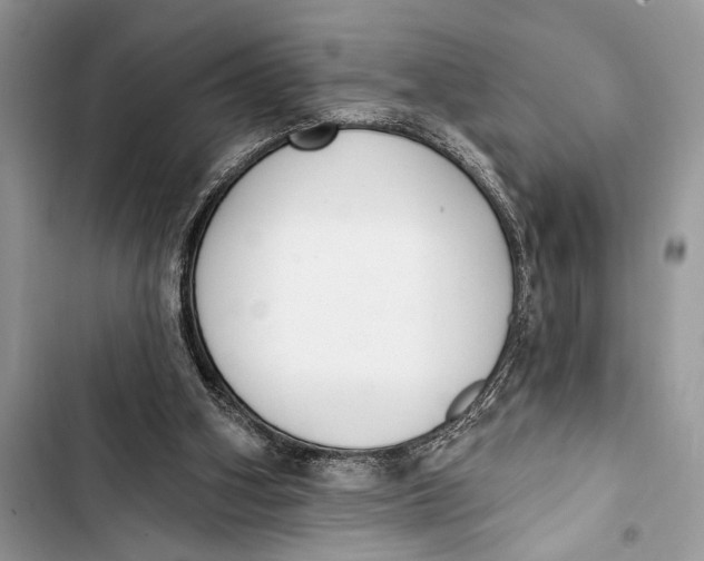 X0000103470106200810031529