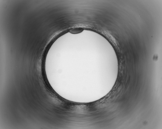 X0000103470108200810031529