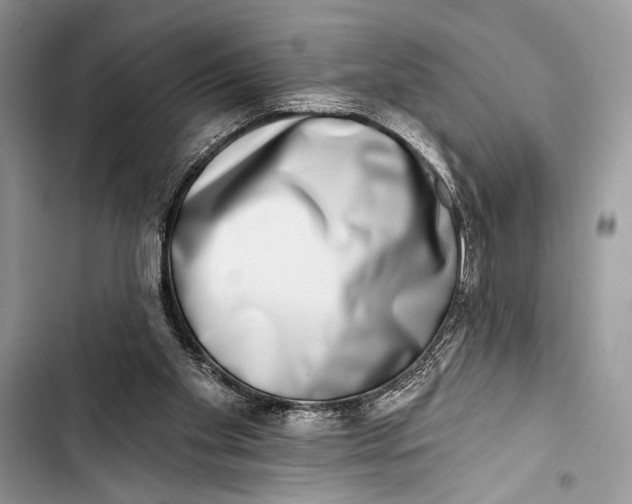 X0000103470109200810031529