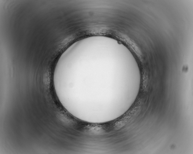 X0000103470113200810031529