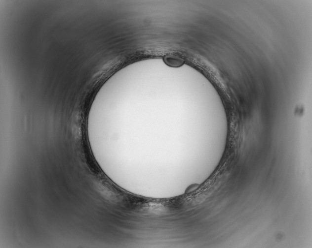X0000103470114200810031529